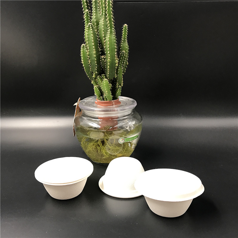 2 oz bagasse sauce cup