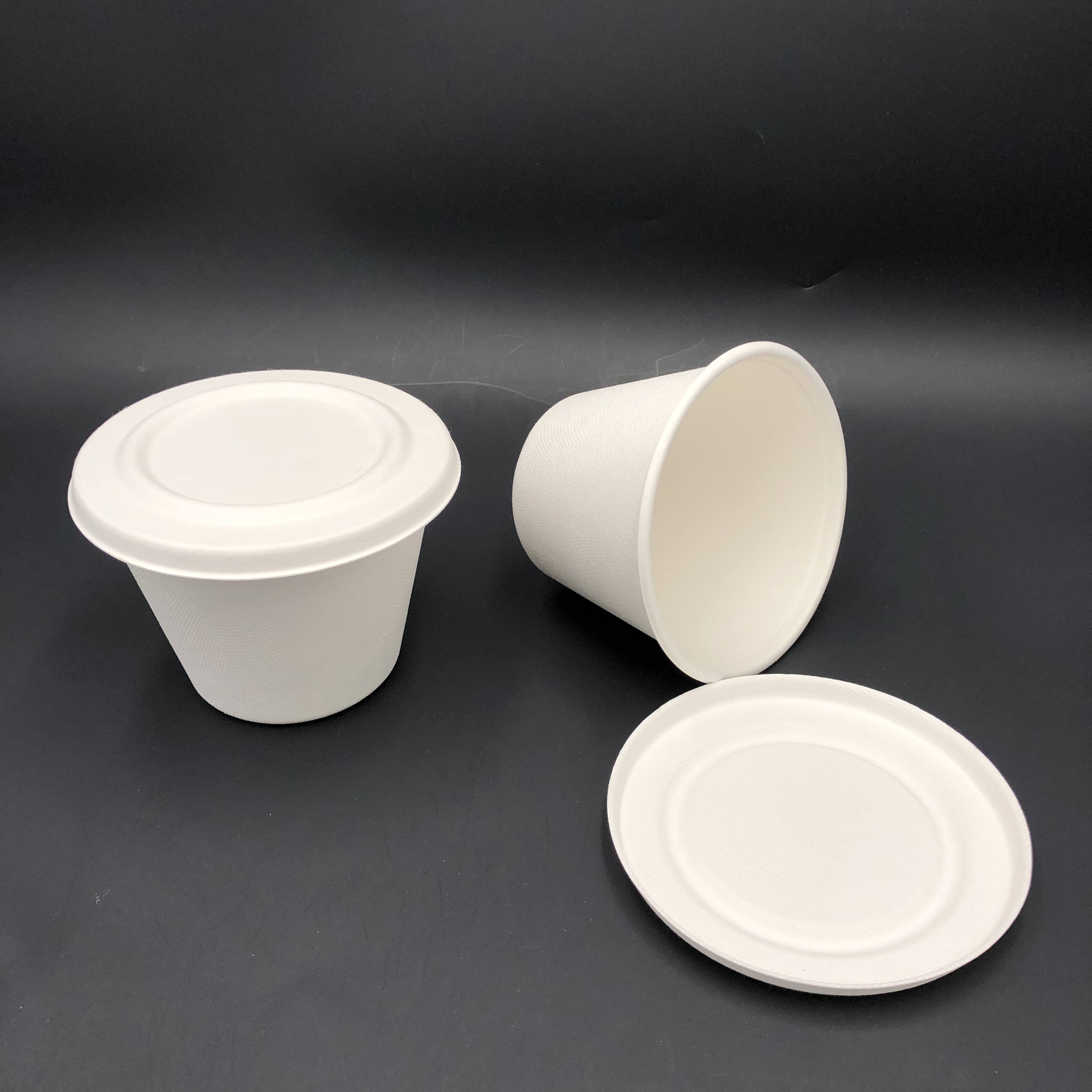 compostable soup cup with lid
