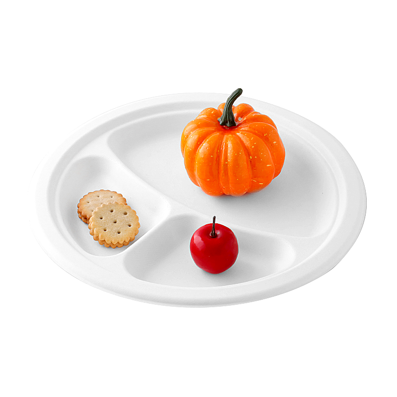 disposable sugarcane round plate