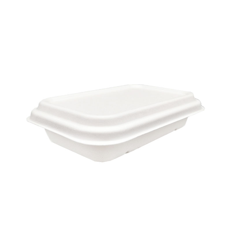 750ml Compostable Sugarcane Pulp Rectangle Box with Lid
