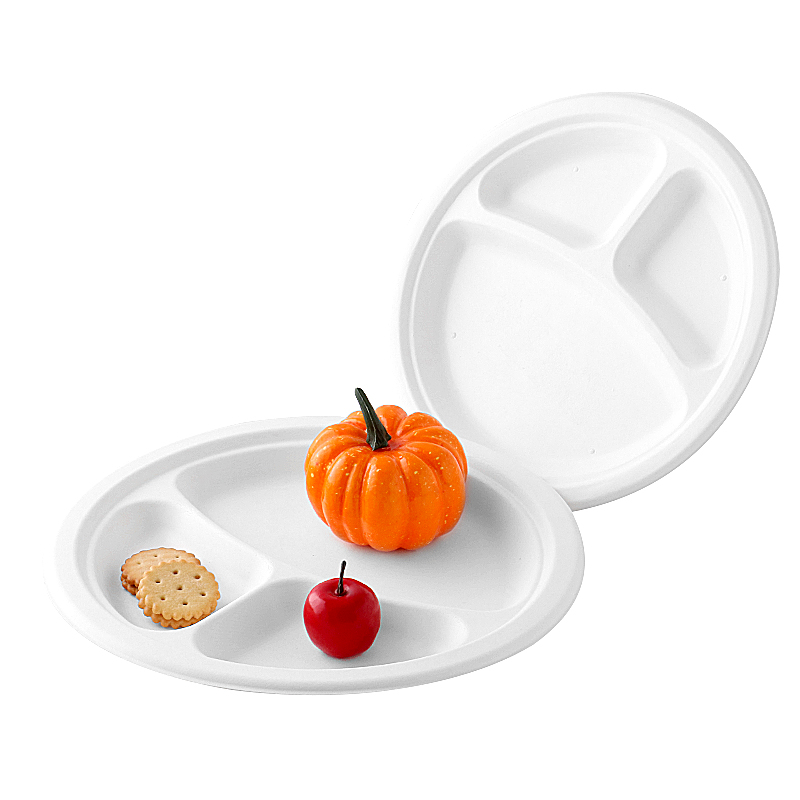 10 inch compostable round plate