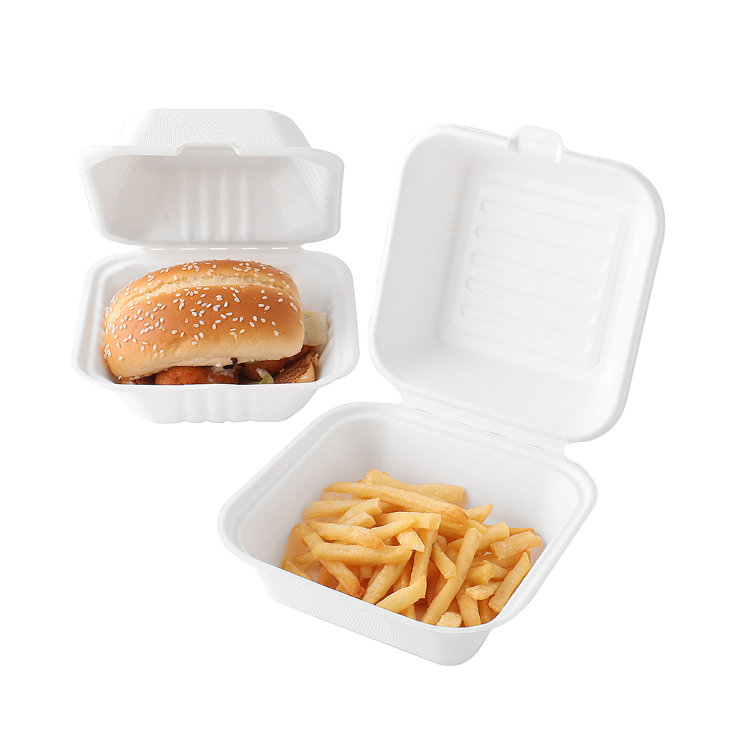 Bagasse hamburg box