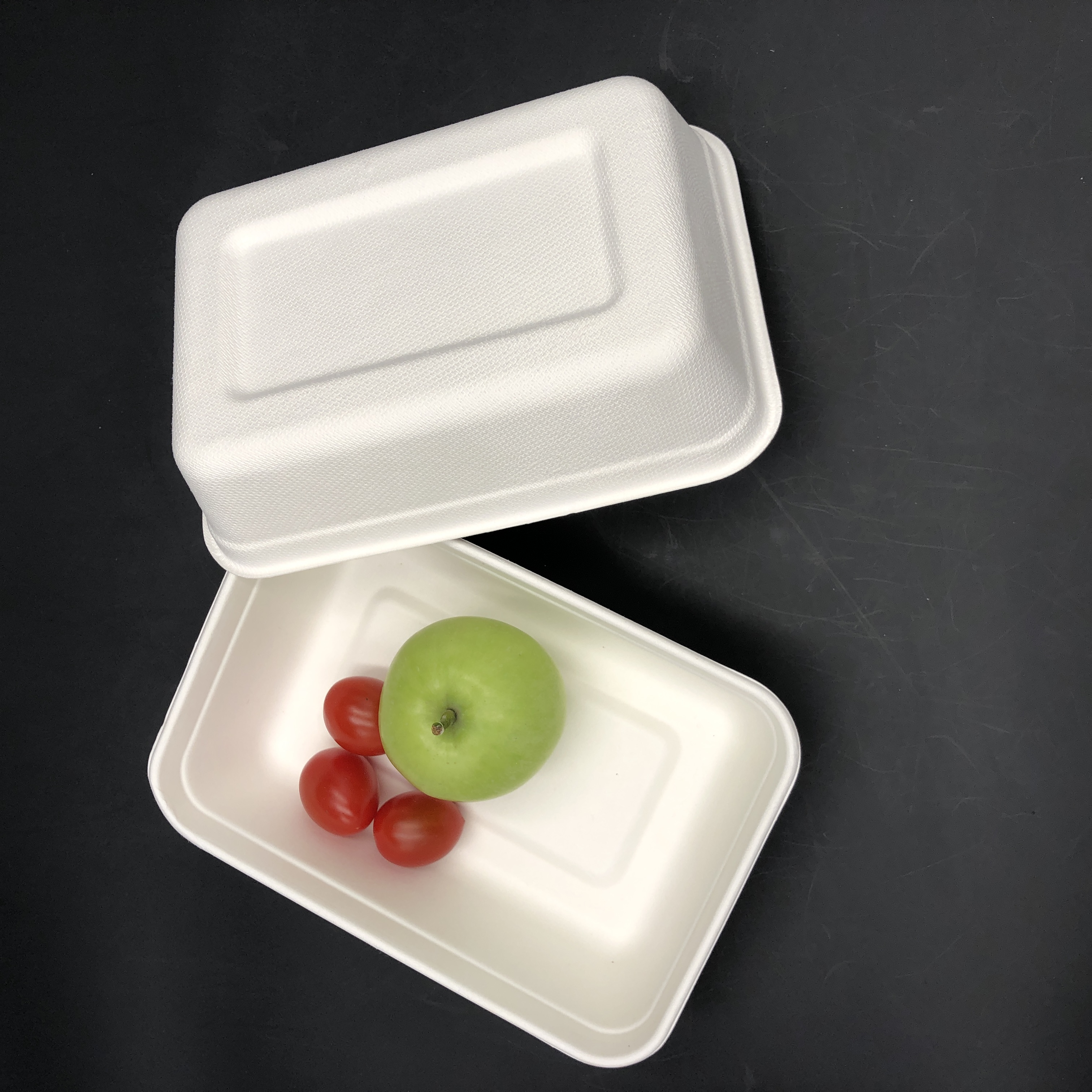 disposable take away bento