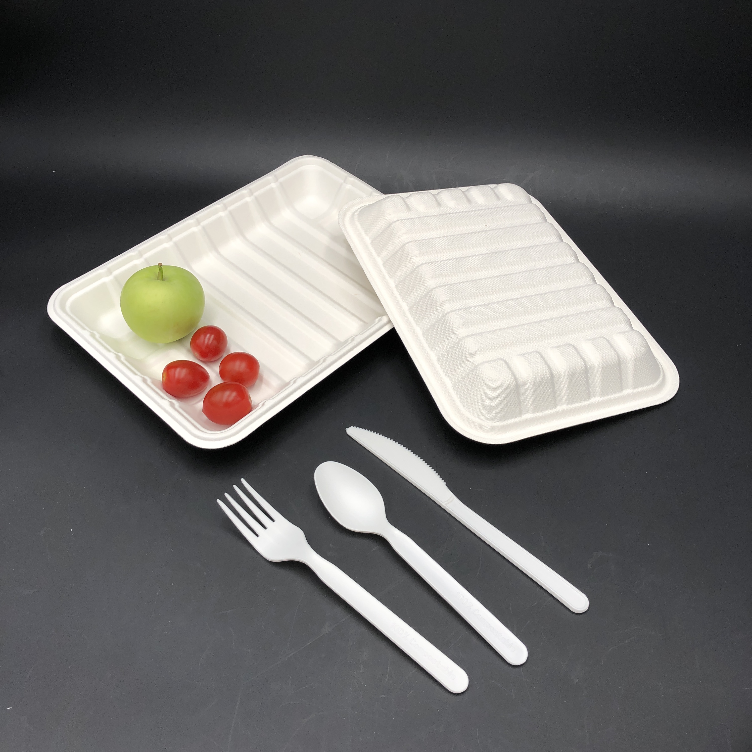 eco friendly sugarcane meat tray