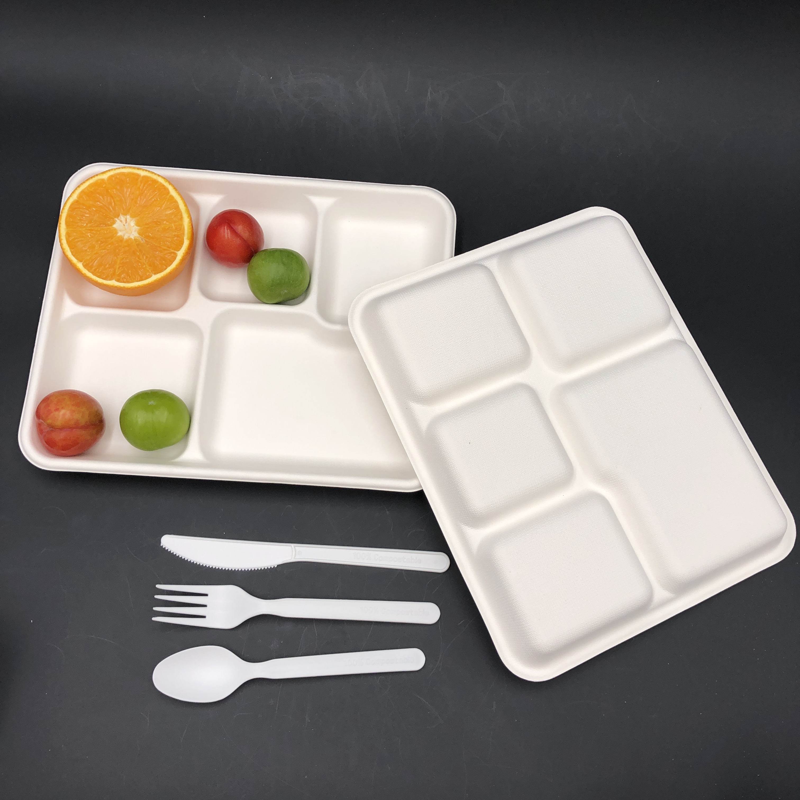 100% biodegradable 5-Compartment Tray