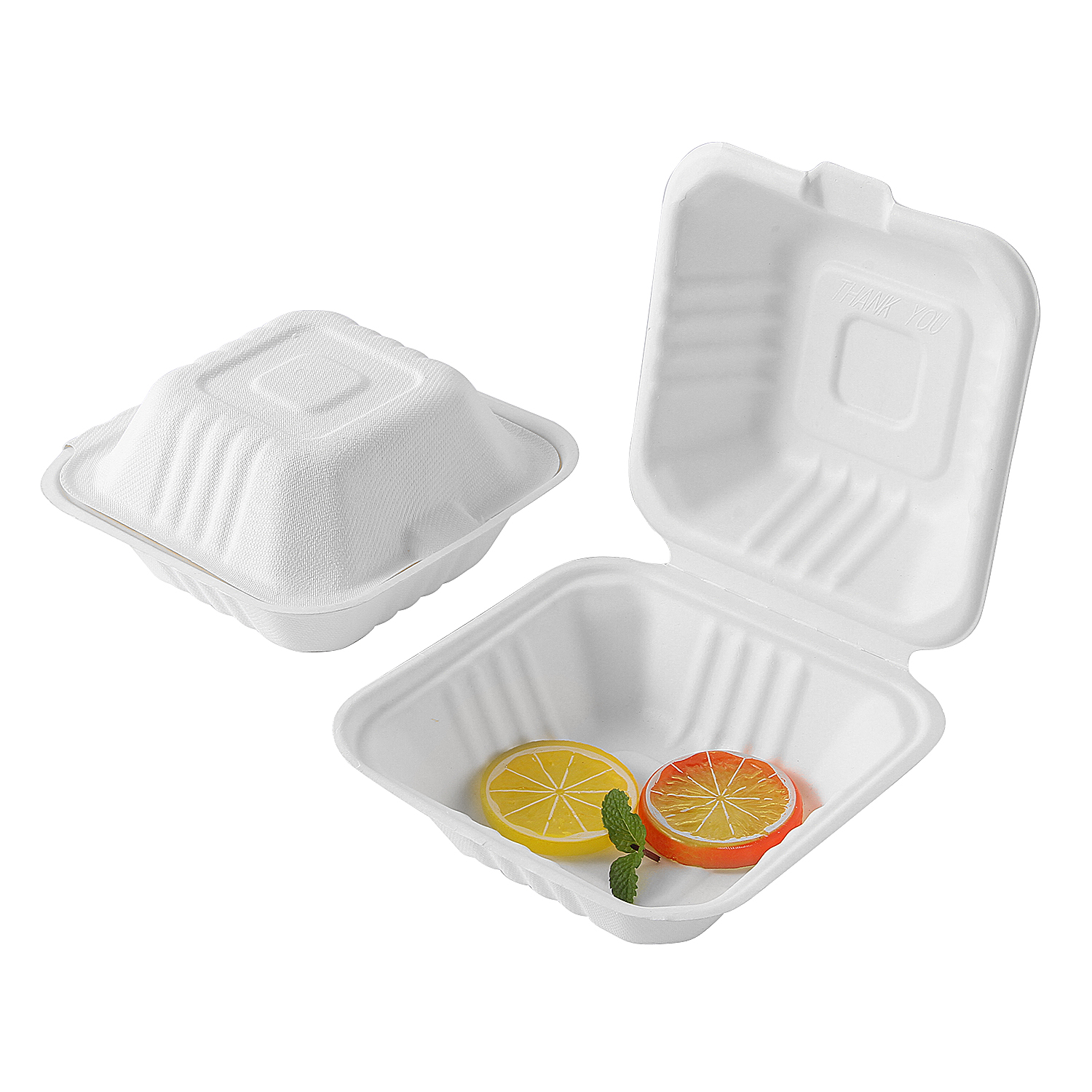 biodegradable 6 inch hamburg box
