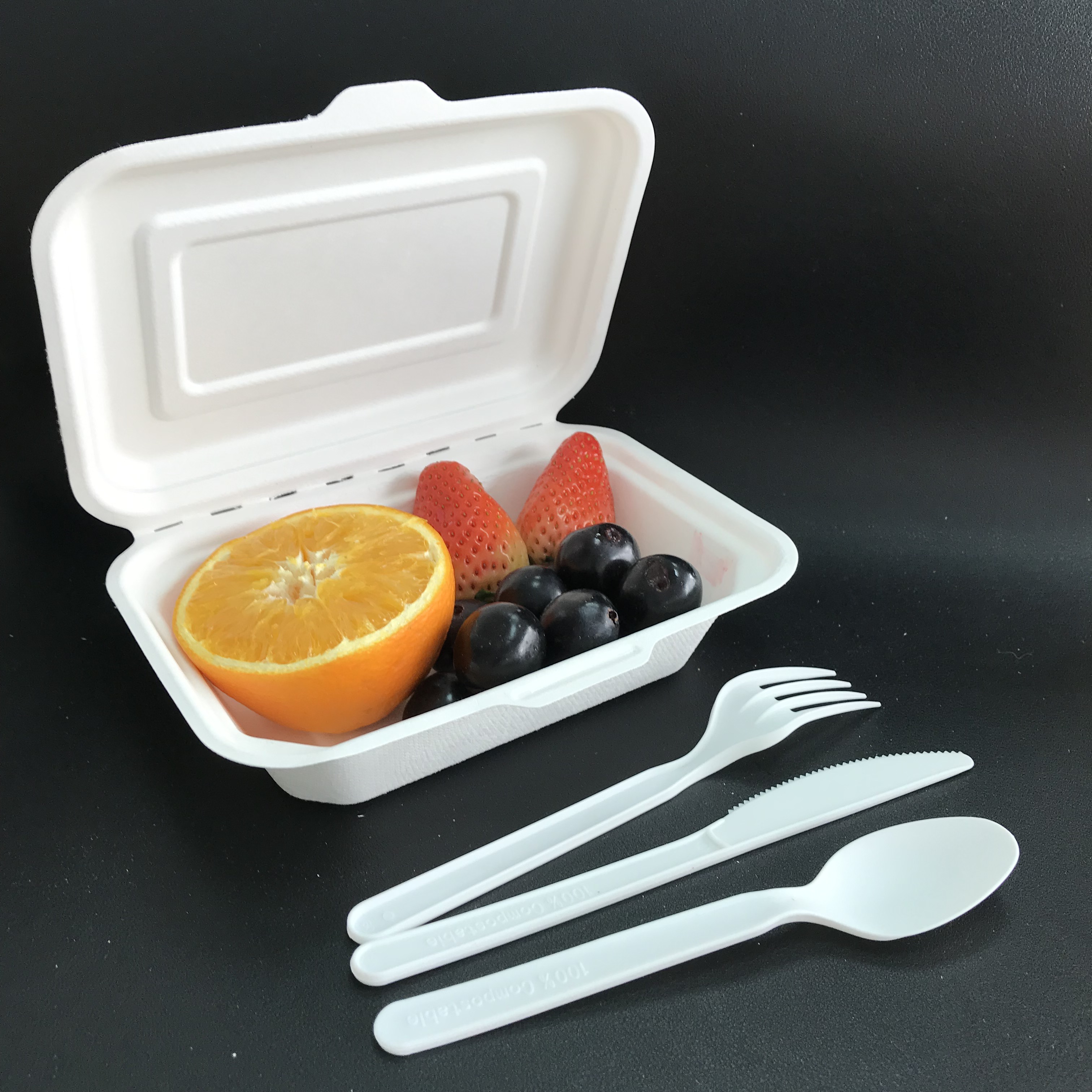 heavy duty bagasse bento