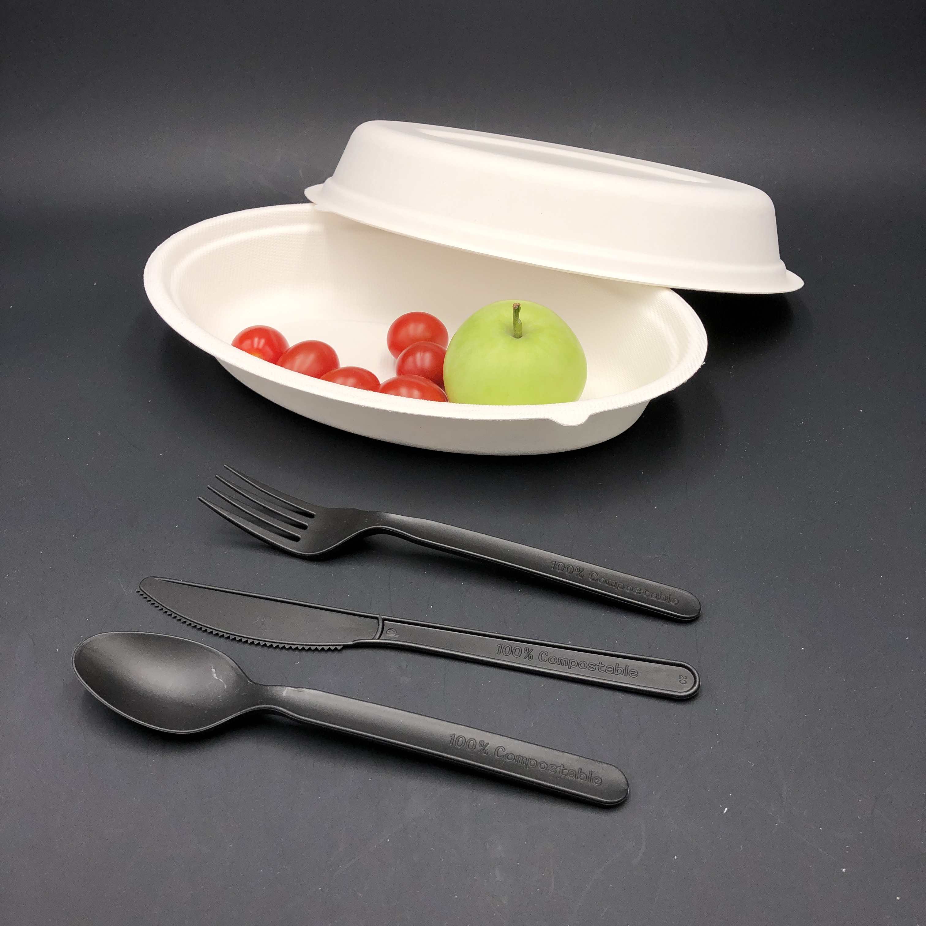 sugarcane pulp food container