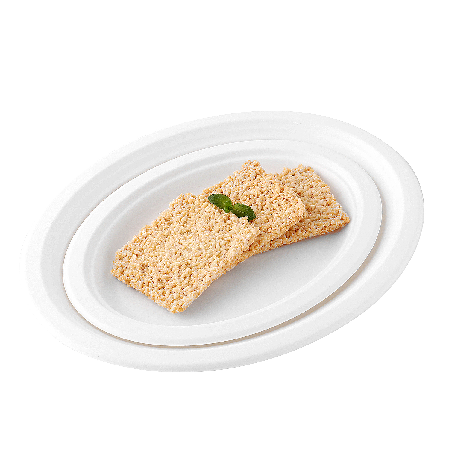 biodegradable food plate (2)