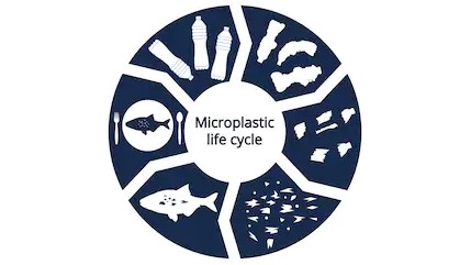 Micro plastic cycle