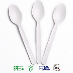 7 Inch Sustainable Take Out CPLA Spoon