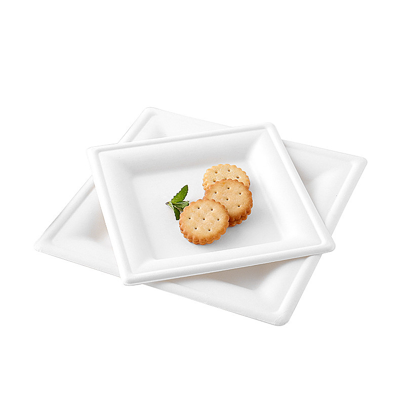 8 Inch Eco Friendly Bagasse Square Plate