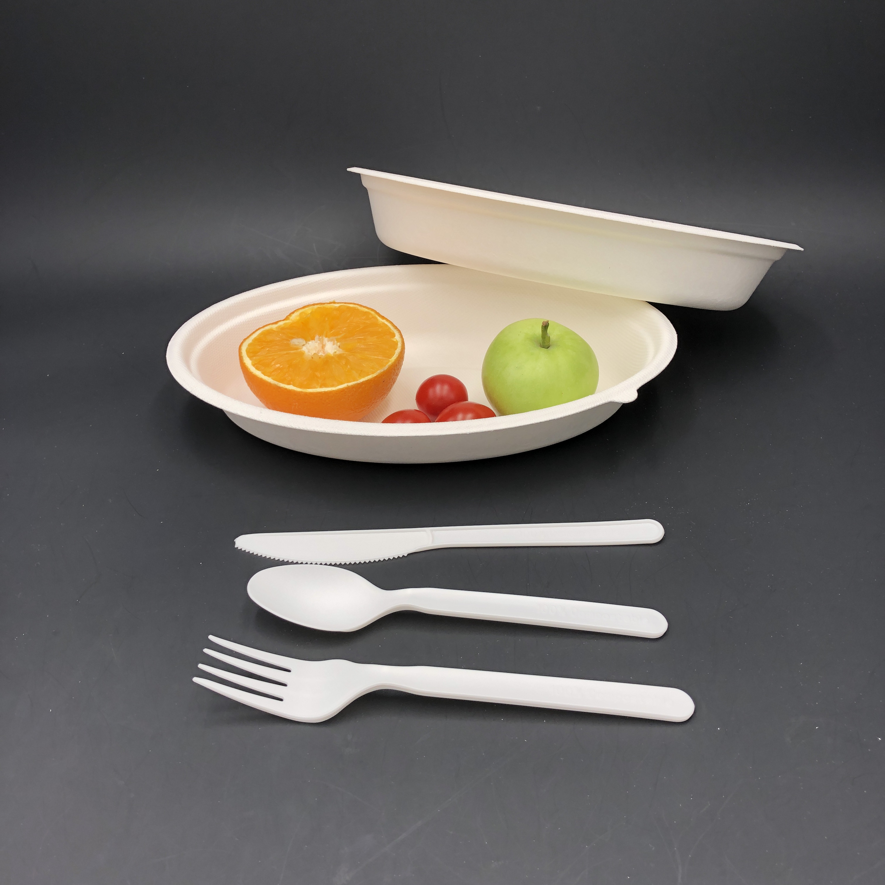 disposable bagasse paper bowl