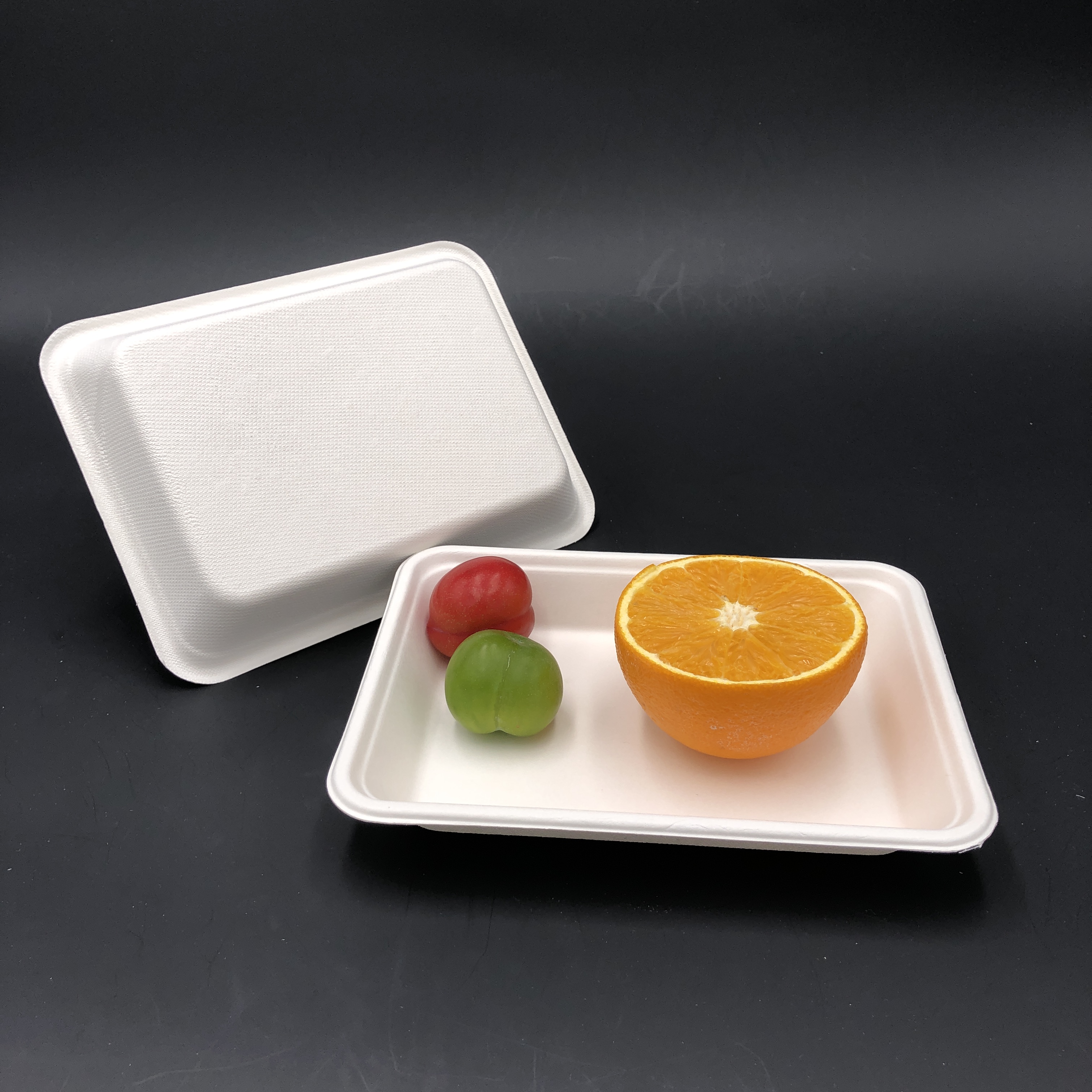100% biodegradable rectangle tray