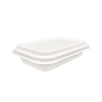 750ml Compostable Sugarcane Pulp Rectangle Box with Lid