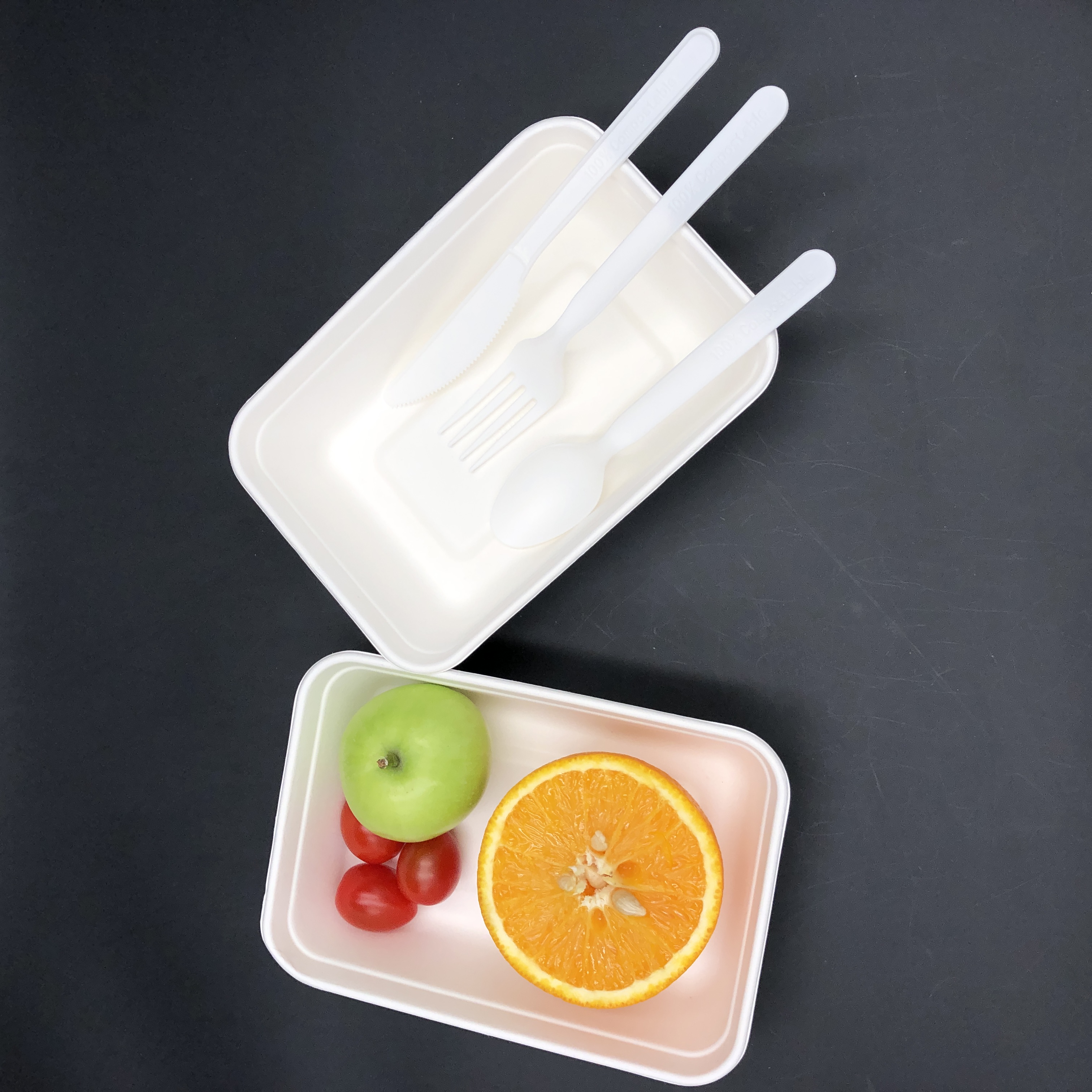 500ml sugarcane Tray with lid