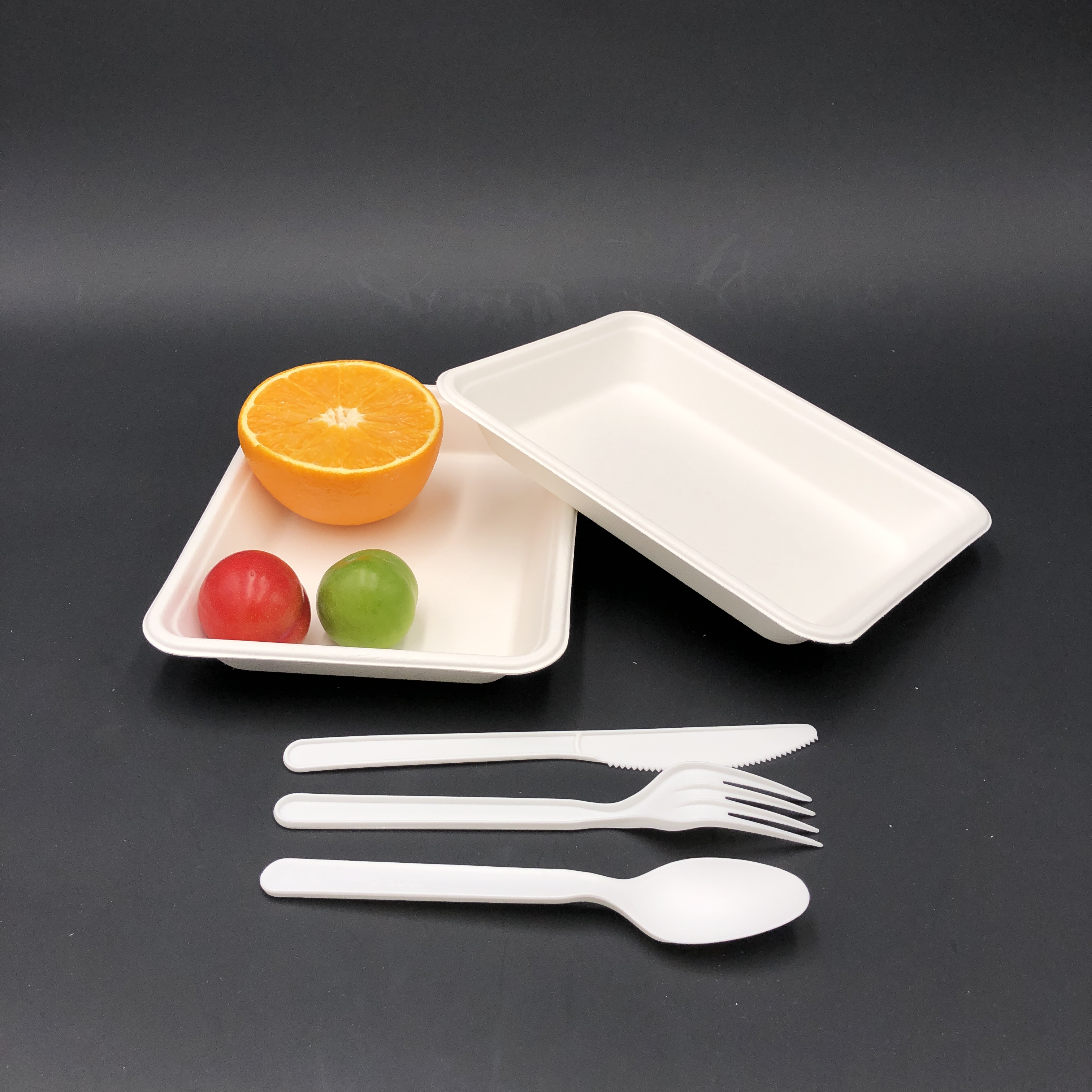 Disposable paper pulp tray