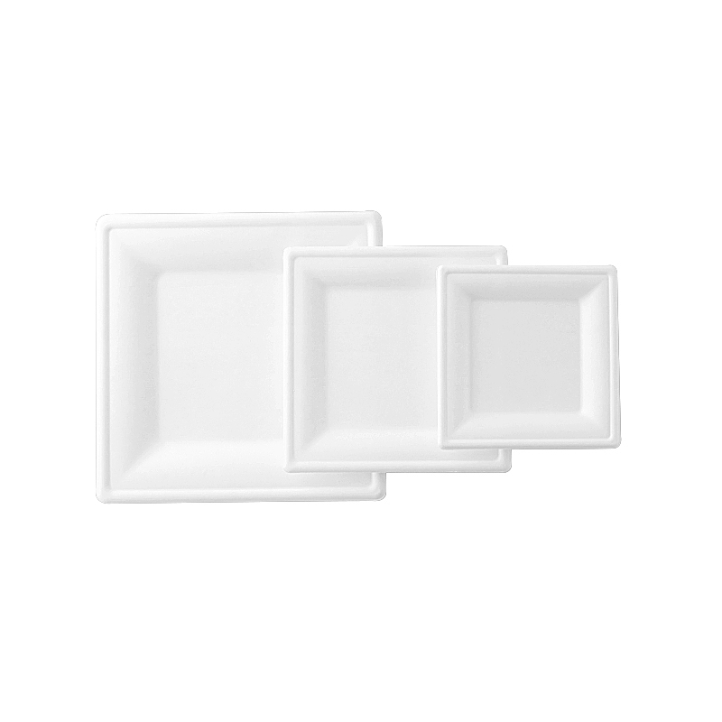 8 Inch Eco Friendly Bagasse Square Plate