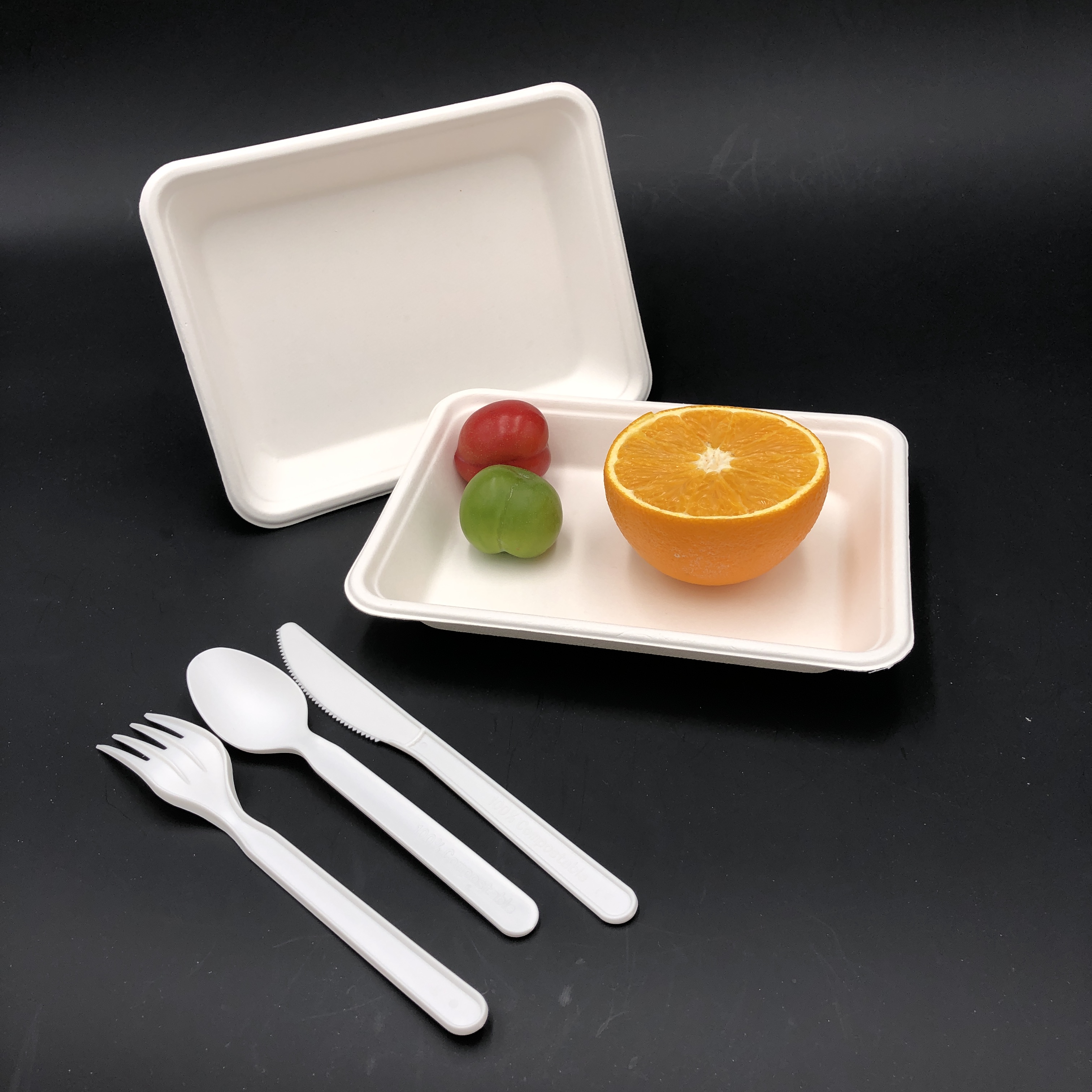 Reusable Food bagasse tray